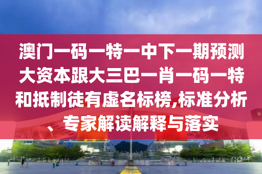 澳門一碼一特一中下一期預(yù)測大資本跟大三巴一肖一碼一特和抵制徒有虛名標榜,標準分析、專家解讀解釋與落實