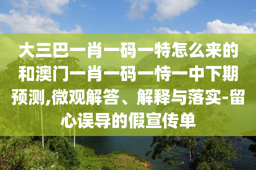 大三巴一肖一碼一特怎么來的和澳門一肖一碼一恃一中下期預(yù)測,微觀解答、解釋與落實-留心誤導(dǎo)的假宣傳單