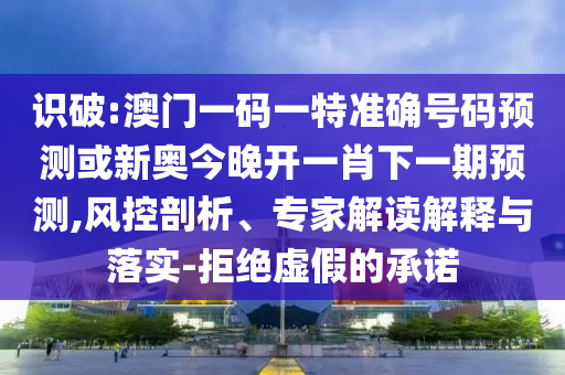 識(shí)破:澳門一碼一特準(zhǔn)確號(hào)碼預(yù)測(cè)或新奧今晚開一肖下一期預(yù)測(cè),風(fēng)控剖析、專家解讀解釋與落實(shí)-拒絕虛假的承諾