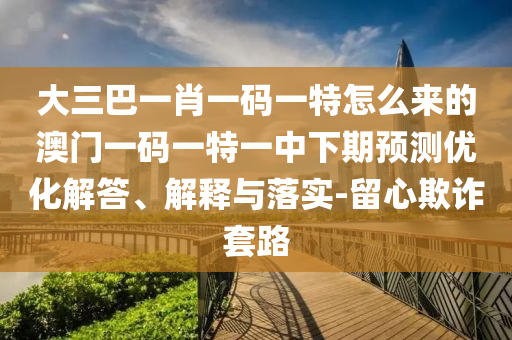 大三巴一肖一碼一特怎么來的澳門一碼一特一中下期預(yù)測優(yōu)化解答、解釋與落實(shí)-留心欺詐套路