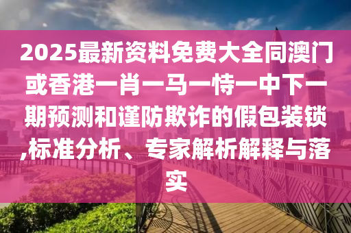 2025最新資料免費(fèi)大全同澳門或香港一肖一馬一恃一中下一期預(yù)測和謹(jǐn)防欺詐的假包裝鎖,標(biāo)準(zhǔn)分析、專家解析解釋與落實(shí)